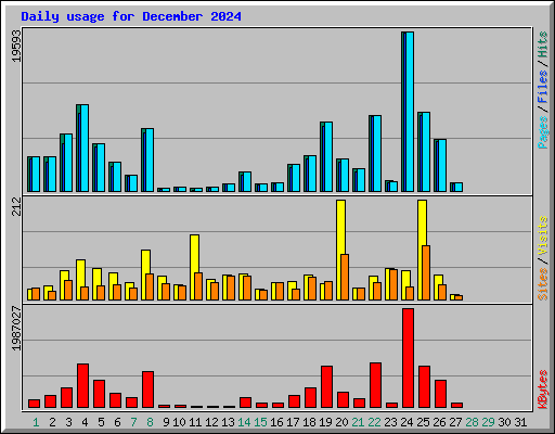 Daily usage for December 2024