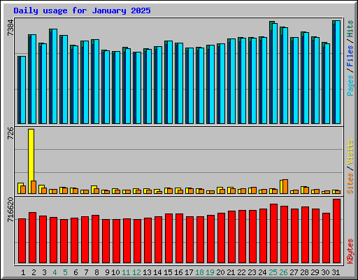 Daily usage for January 2025