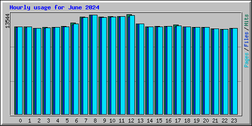 Hourly usage for June 2024