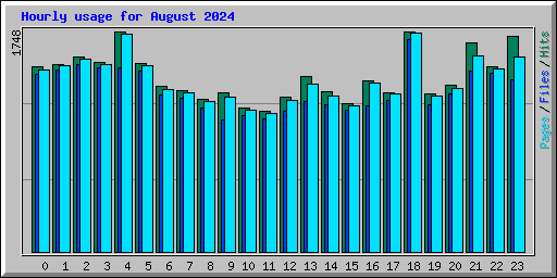 Hourly usage for August 2024