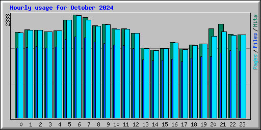 Hourly usage for October 2024