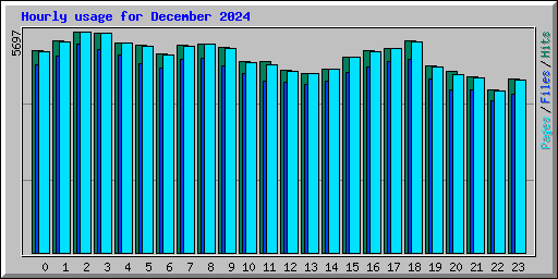 Hourly usage for December 2024