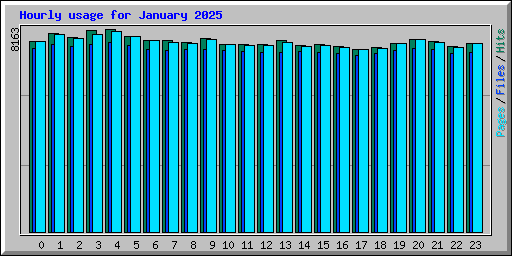 Hourly usage for January 2025