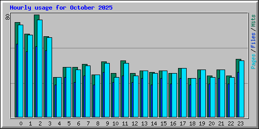 Hourly usage for October 2025