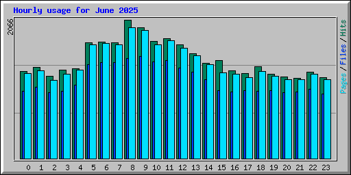 Hourly usage for June 2025