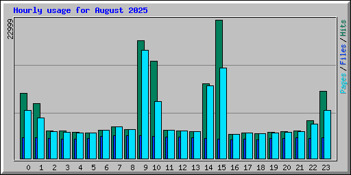 Hourly usage for August 2025