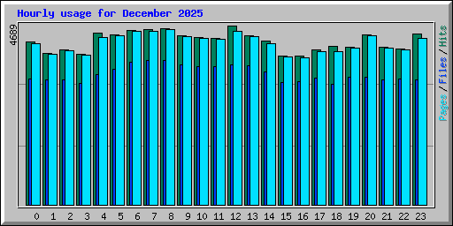 Hourly usage for December 2025
