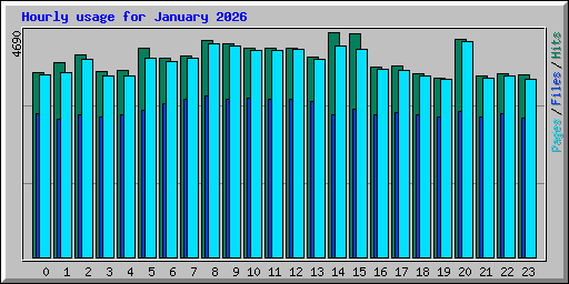 Hourly usage for January 2026